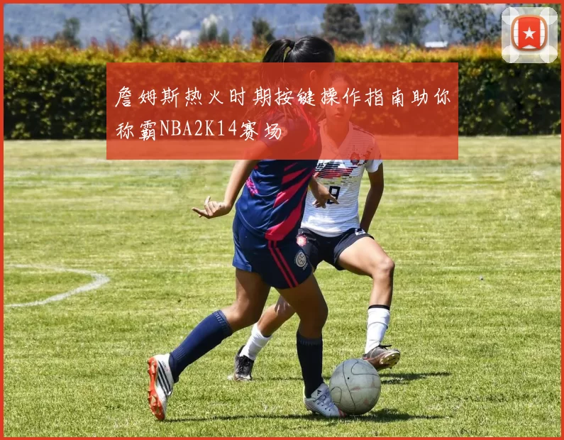 詹姆斯热火时期按键操作指南助你称霸NBA2K14赛场