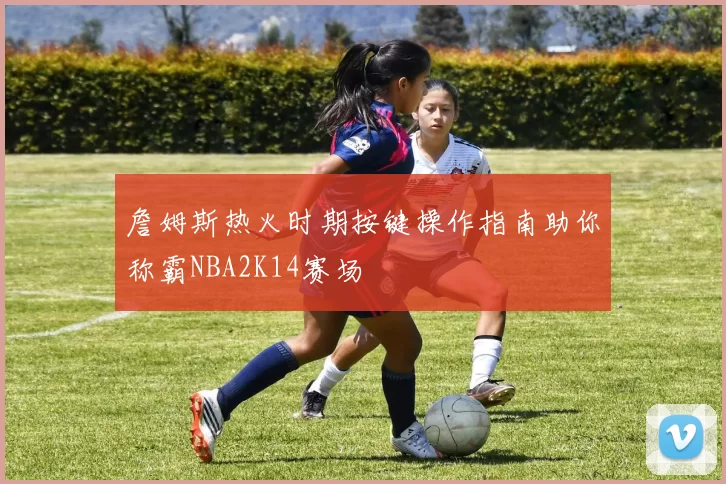 詹姆斯热火时期按键操作指南助你称霸NBA2K14赛场