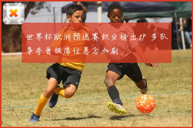 世界杯欧洲预选赛积分榜出炉 多队争夺晋级席位悬念加剧